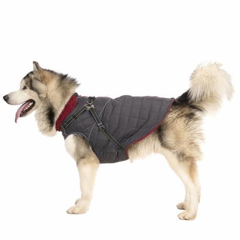 HERCULES - 2 IN 1 DOG JKT WITH HARNESS - 1