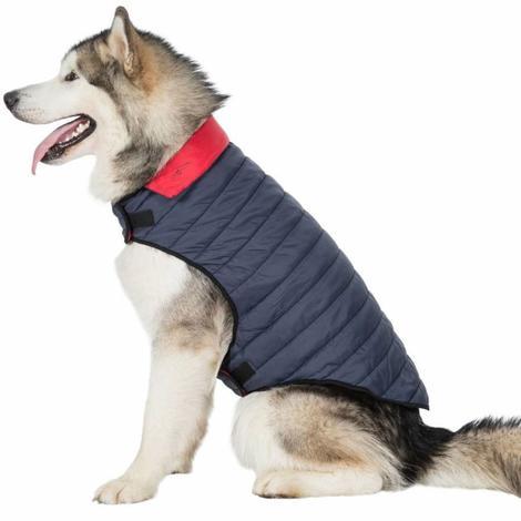 KIMMI X - QUILTED DOG JACKET - 1